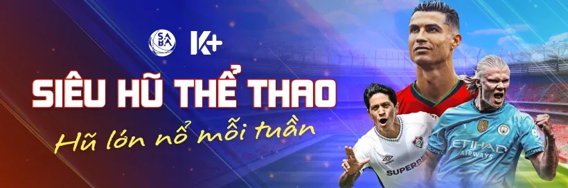 Chương trình hoàn trả và VIP